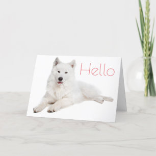 Tarjeta Perro Porcino Blanco Samoyado - Hola, Pensando En 