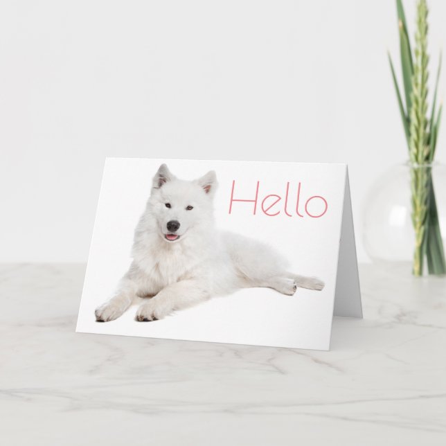 Tarjeta Perro Porcino Blanco Samoyado - Hola, Pensando En  (Anverso)