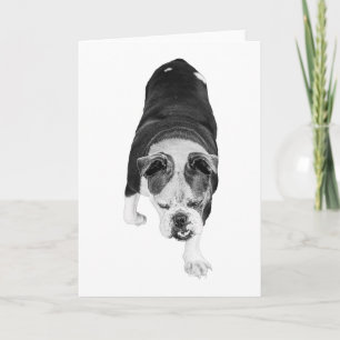 Tarjeta Perro que camina envía cálidos deseos motivacional