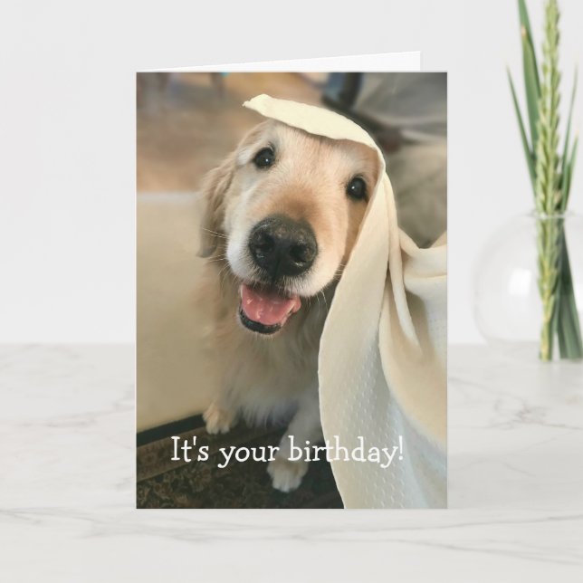 Tarjeta Perro recuperador de oro es tu cumpleaños (Anverso)