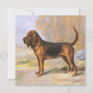Tarjeta Perro sabueso