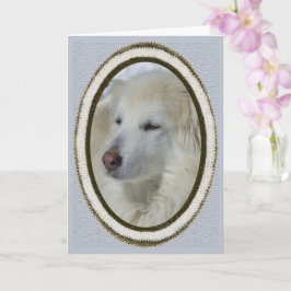 Tarjeta *Perro Sandy - Disculpa/Perdón