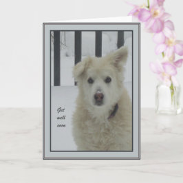 Tarjeta *Perro Sandy - Ponte bien pronto