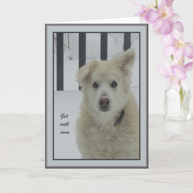 Tarjeta *Perro Sandy - Ponte bien pronto (Orquídea)