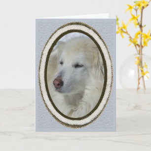 Tarjeta *Perro Sandy - Te Extrañas