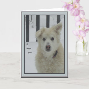 Tarjeta *Perro Sandy - Te Extraño