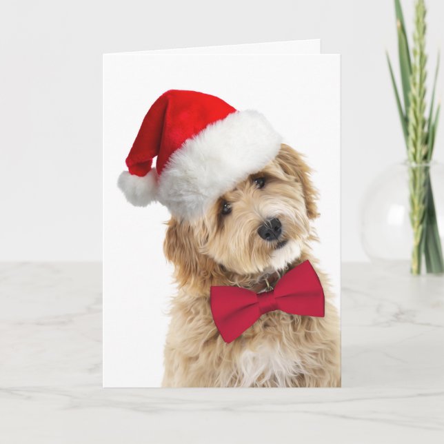 Tarjeta Perro Santa Doodle (Anverso)
