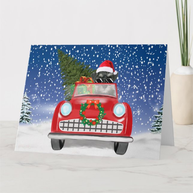 Tarjeta Perro Schnauzer conduciendo un coche en Navidad co (Anverso)