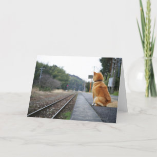 Tarjeta Perro sentado en la estación de tren
