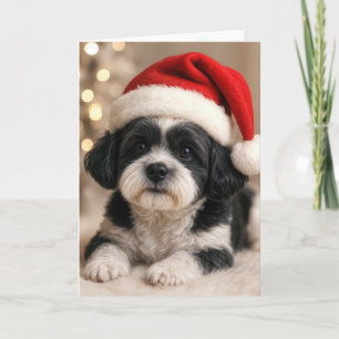 Tarjeta Perro Shih Tzu de Navidad con sombrero de Santa