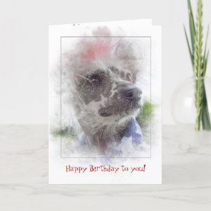 Tarjeta perro sin pelo con cresta chino