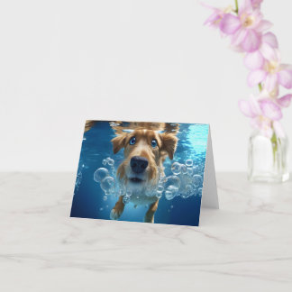 Tarjeta Perro subacuático Natación Burbujas Ojos azules en
