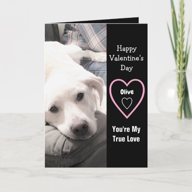 Tarjeta Perro súper lindo El día de San Valentín blanco ca (Anverso)