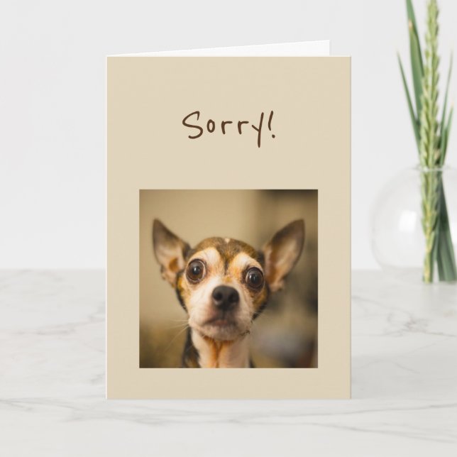 Tarjeta Perro tardío triste de la chihuahua de la (Anverso)
