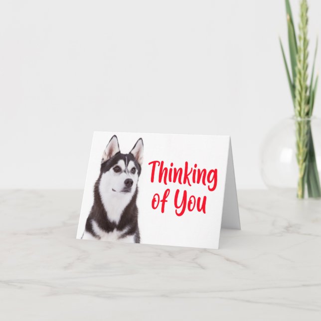 Tarjeta Perro tímido y tímido siberiano Husky pensando en  (Anverso)