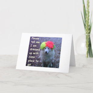 TARJETA PERRO VESTIDO PARA IR A CELEBRAR TU "30" B-DAY