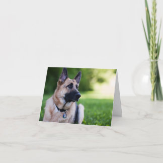 Tarjeta Perro "vínculo " del rescate