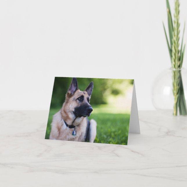 Tarjeta Perro "vínculo " del rescate (Anverso)