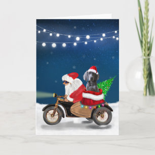 Tarjeta Perro Weimaraner Navidad Santa Claus 