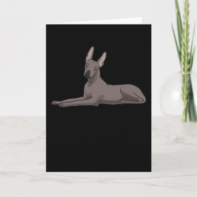 Tarjeta Perro Xoloitzcuintle (Anverso)