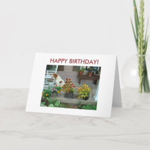 Tarjeta ¡Perro y flores en el pórtico, FELIZ CUMPLEAÑOS!
