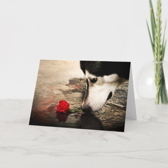 Tarjeta Perro y rosa roja (Anverso)