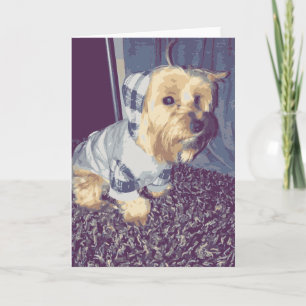 Tarjeta Perro yorkie lindo vestido con una cachorra de cap