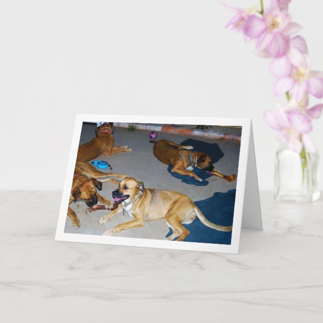 Tarjeta Perros con huesos y toallas (Orquídea)