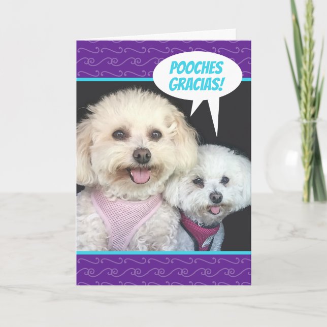Tarjeta Perros Cute Poochon - Puches Gracias Gracias (Anverso)