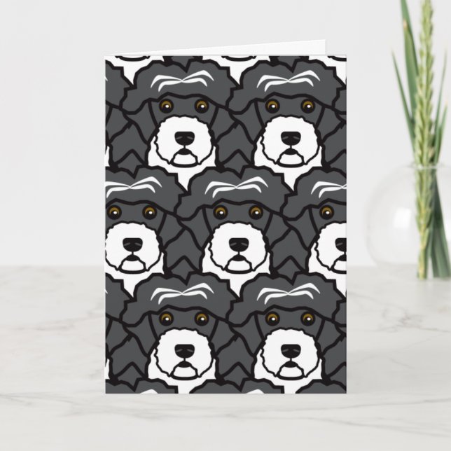 Tarjeta Perros de agua portugueses (Anverso)