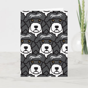 Tarjeta Perros de agua portugueses