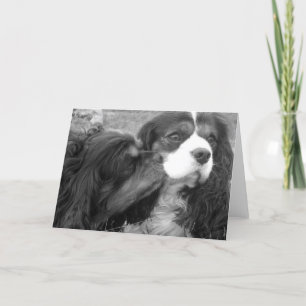 Tarjeta Perros de aguas arrogantes del moldeador y de rey