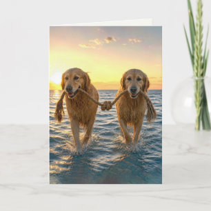 Tarjeta Perros de aguas Retrievers Dorados con Cuerda Anud