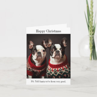 Tarjeta Perros de Boston Terrier en sudaderas Navidades