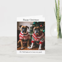 Perros de boxeo en sudaderas Navidades