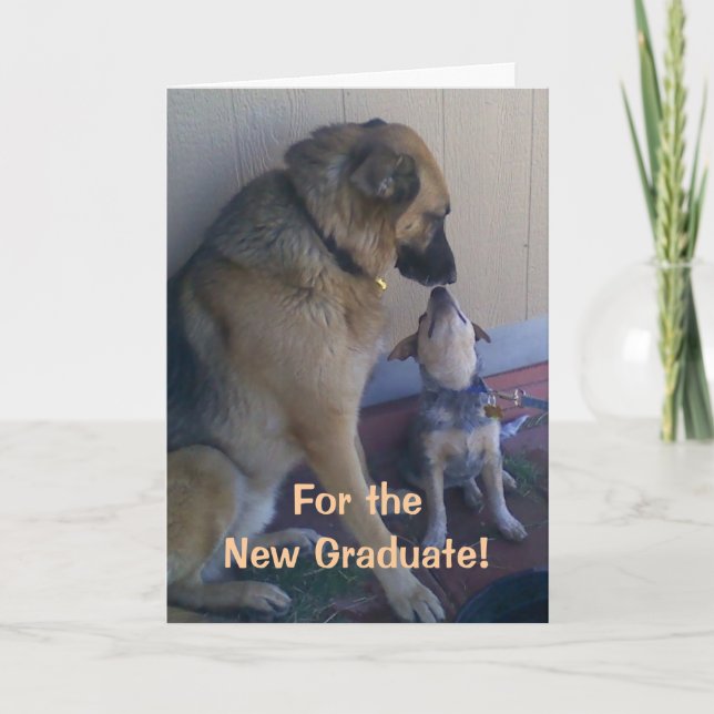 Tarjeta Perros de la enhorabuena de la graduación (Anverso)