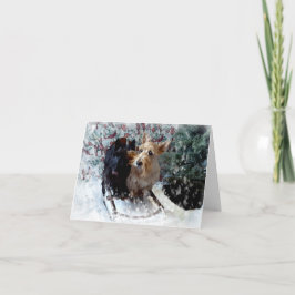 Tarjeta Perros de Trineo