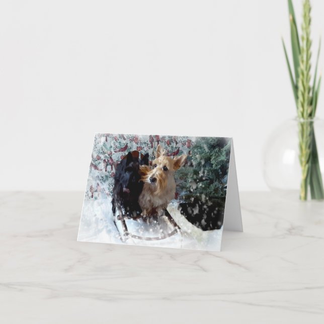 Tarjeta Perros de Trineo (Anverso)