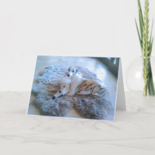 Tarjeta Perros de Whippet