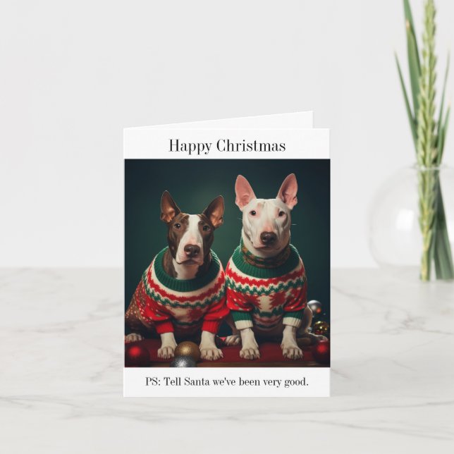 Tarjeta Perros del bull terrier en sudaderos Navidades (Anverso)