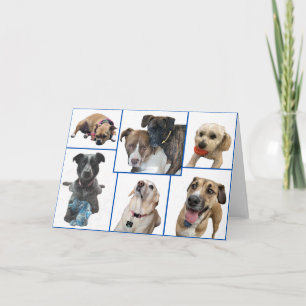 Tarjeta Perros del condado de Johnston