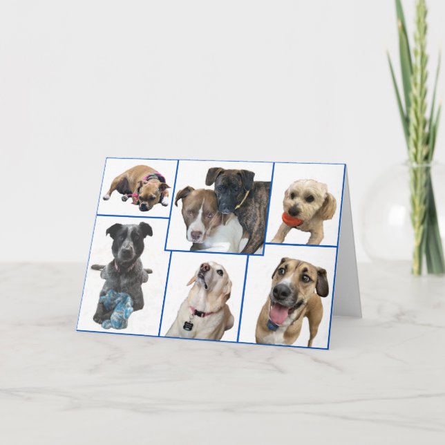 Tarjeta Perros del condado de Johnston (Anverso)