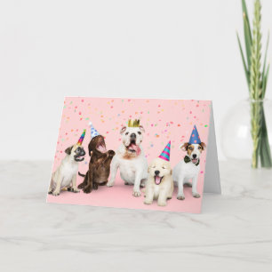 Tarjeta Perros del cumpleaños