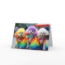 Perros del Orgullo Gay Bichon Frisse
