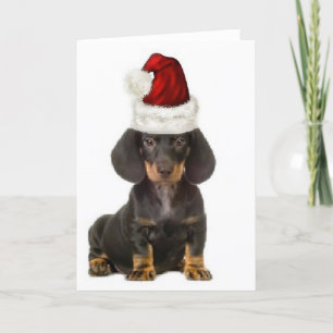 Tarjeta Perros Ditzy~Notecard original~Dachshund