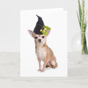 Tarjeta Perros Ditzy~Tarjeta Greetomg Original~Chihuahua
