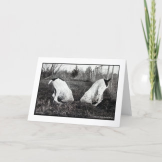 Tarjeta Perros en un agujero