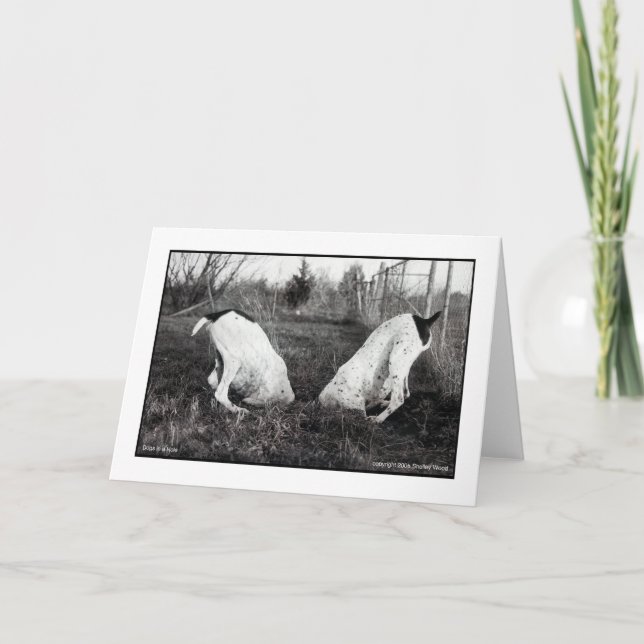 Tarjeta Perros en un agujero (Anverso)