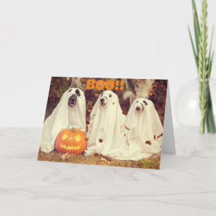 TARJETA PERROS FELIZ HALLOWEEN