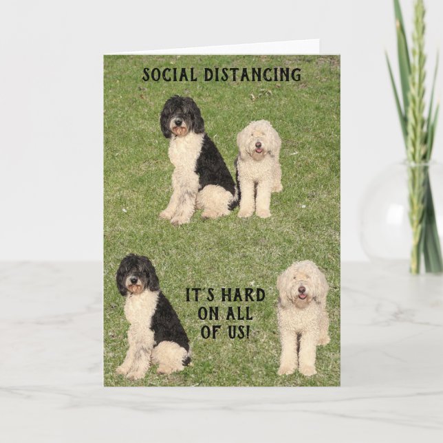 Tarjeta Perros Golden Doodle de distanciamiento social (Anverso)